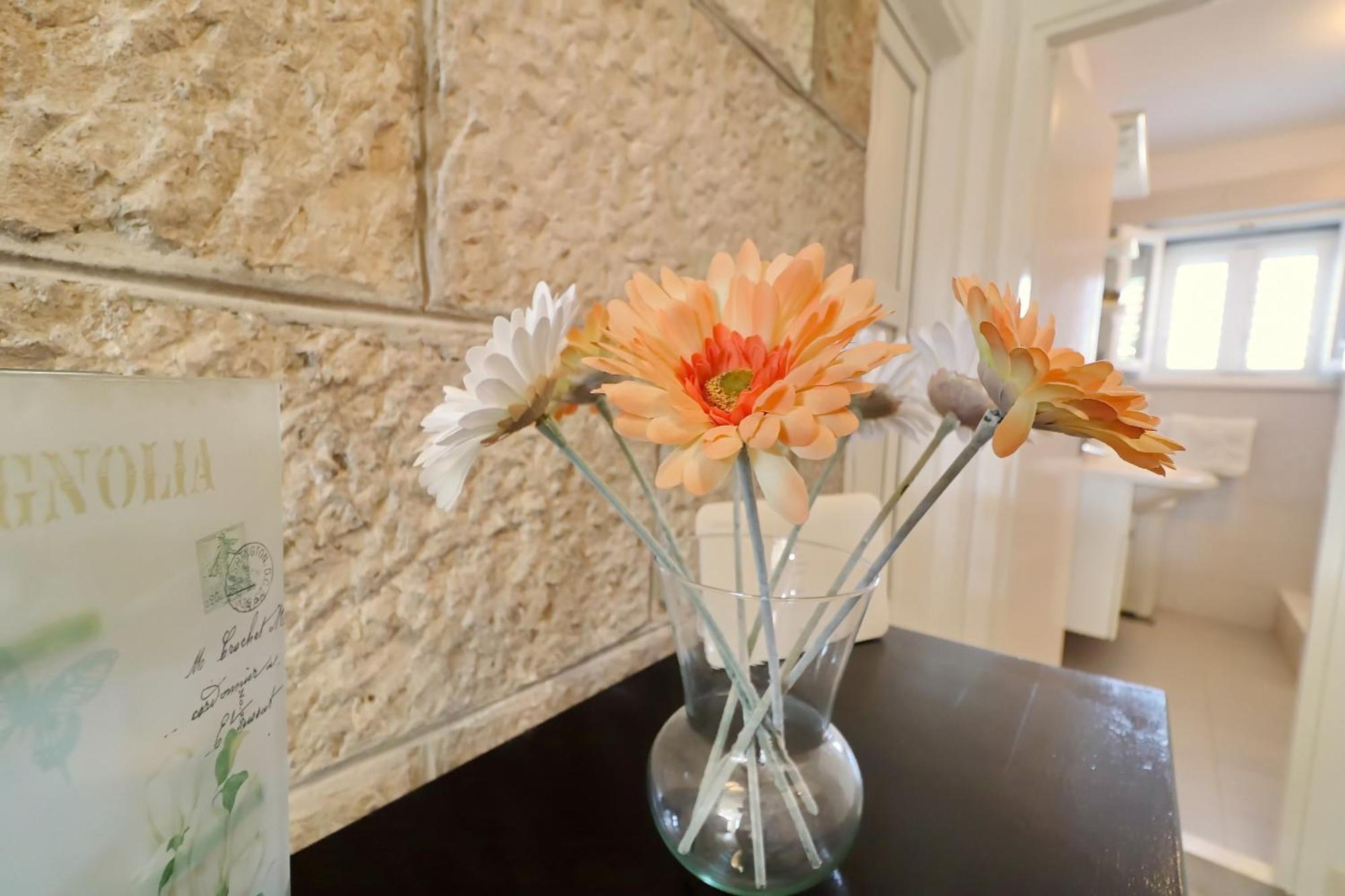Villa Ivana Zrnovo Екстер'єр фото